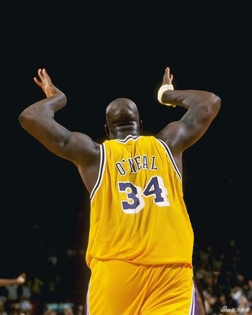 球迷调侃詹姆斯没头发，后者回应：你知道我有，而且多的是（球迷调侃詹皇秃头，詹姆斯回怼：我头发多着呢）